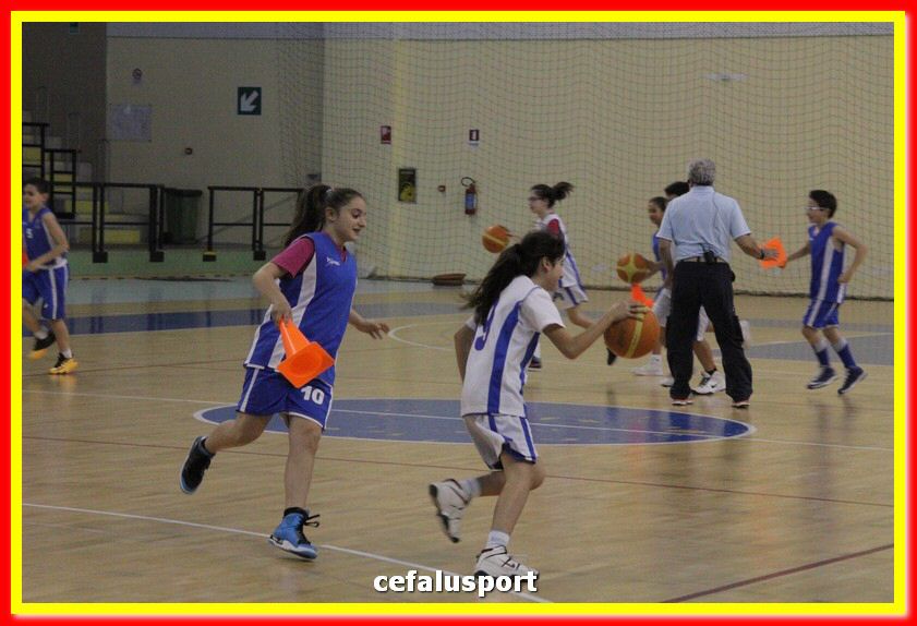 140505 basket 206_tn.jpg